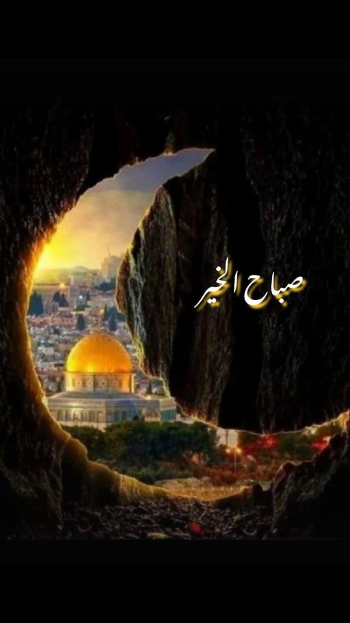 اضغط على الصورة لعرض أكبر. 

الإسم:	WhatsApp Image 2023-11-13 at 7.50.18 PM.jpg 
مشاهدات:	35 
الحجم:	85.2 كيلوبايت 
الهوية:	3470808
