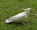اضغط على الصورة لعرض أكبر. 

الإسم:	polly3.jpg 
مشاهدات:	496 
الحجم:	87.9 كيلوبايت 
الهوية:	3291176