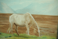 اضغط على الصورة لعرض أكبر. 

الإسم:	5.gif 
مشاهدات:	438 
الحجم:	102.8 كيلوبايت 
الهوية:	3291441