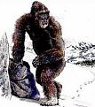 اضغط على الصورة لعرض أكبر. 

الإسم:	yeti_monster.jpg 
مشاهدات:	10335 
الحجم:	31.2 كيلوبايت 
الهوية:	3295698