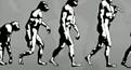 اضغط على الصورة لعرض أكبر. 

الإسم:	1 صورة لنظرية دارون.jpg 
مشاهدات:	4974 
الحجم:	5.3 كيلوبايت 
الهوية:	3296077
