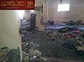 اضغط على الصورة لعرض أكبر. 

الإسم:	rafidy_sasdah1.jpg 
مشاهدات:	844 
الحجم:	52.1 كيلوبايت 
الهوية:	3300699