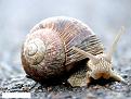 اضغط على الصورة لعرض أكبر. 

الإسم:	f07d28f4-841f-4d1b-95ce-08110ecc5cdb.jpg 
مشاهدات:	1151 
الحجم:	66.3 كيلوبايت 
الهوية:	3301301