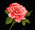 اضغط على الصورة لعرض أكبر. 

الإسم:	LOVE41.gif 
مشاهدات:	609 
الحجم:	8.7 كيلوبايت 
الهوية:	3304086