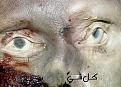 اضغط على الصورة لعرض أكبر. 

الإسم:	blod8.jpg 
مشاهدات:	1884 
الحجم:	110.8 كيلوبايت 
الهوية:	3304099