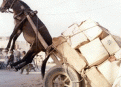 اضغط على الصورة لعرض أكبر. 

الإسم:	donkey.gif 
مشاهدات:	1038 
الحجم:	44.3 كيلوبايت 
الهوية:	3304178