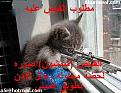 اضغط على الصورة لعرض أكبر. 

الإسم:	1530.jpg 
مشاهدات:	1880 
الحجم:	16.3 كيلوبايت 
الهوية:	3304710