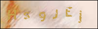 صورة التسجيل