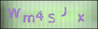 صورة التسجيل