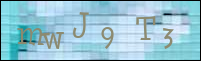 صورة التسجيل