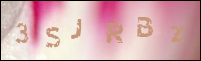 صورة التسجيل