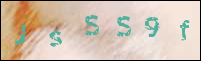 صورة التسجيل