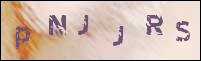 صورة التسجيل