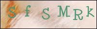 صورة التسجيل