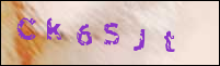 صورة التسجيل