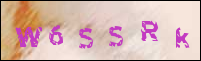صورة التسجيل