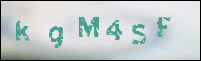 صورة التسجيل