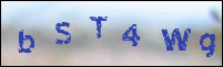 صورة التسجيل