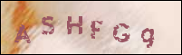 صورة التسجيل
