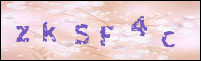 صورة التسجيل