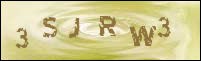 صورة التسجيل