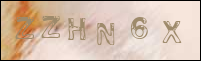 صورة التسجيل