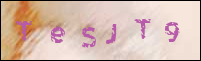 صورة التسجيل