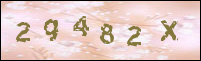 صورة التسجيل