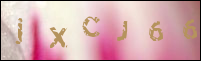 صورة التسجيل