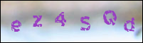 صورة التسجيل