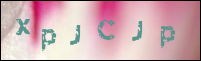 صورة التسجيل