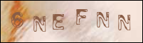 صورة التسجيل