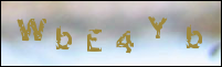 صورة التسجيل