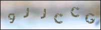 صورة التسجيل