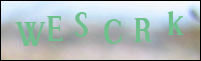 صورة التسجيل
