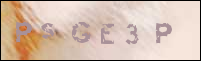 صورة التسجيل