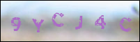 صورة التسجيل