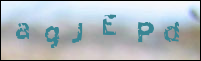 صورة التسجيل