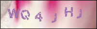 صورة التسجيل