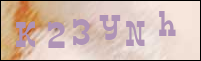 صورة التسجيل