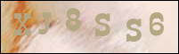 صورة التسجيل