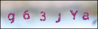 صورة التسجيل