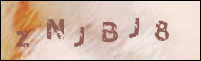 صورة التسجيل