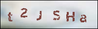 صورة التسجيل