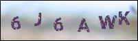 صورة التسجيل