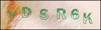 صورة التسجيل