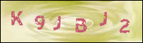 صورة التسجيل