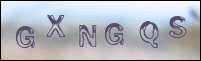 صورة التسجيل