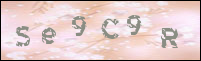 صورة التسجيل