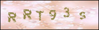 صورة التسجيل